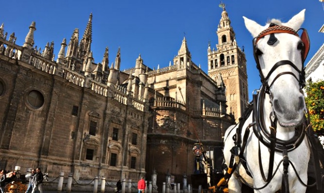 Test: 10 cosas que solo sabrás si has vivido en Sevilla