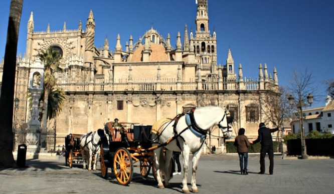 Los coches de caballos en Sevilla podrían llegar a su fin