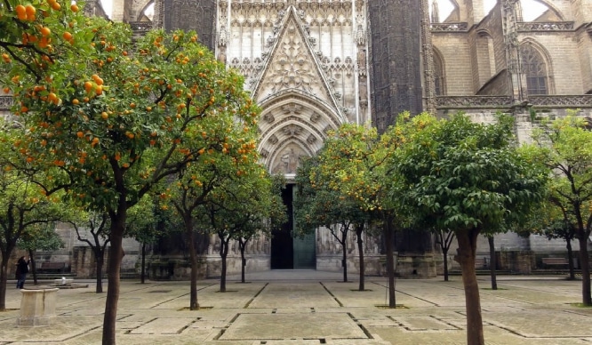La Catedral se plantea cambiar el acceso de los turistas al Patio de los Naranjos