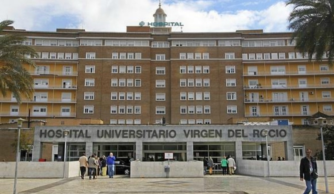 Sevilla tiene récord en donación de órganos y tejidos