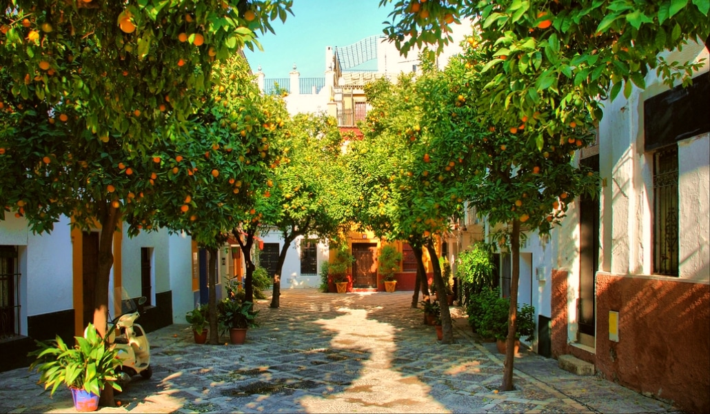 15 imágenes que te muestran qué «color especial» tiene Sevilla