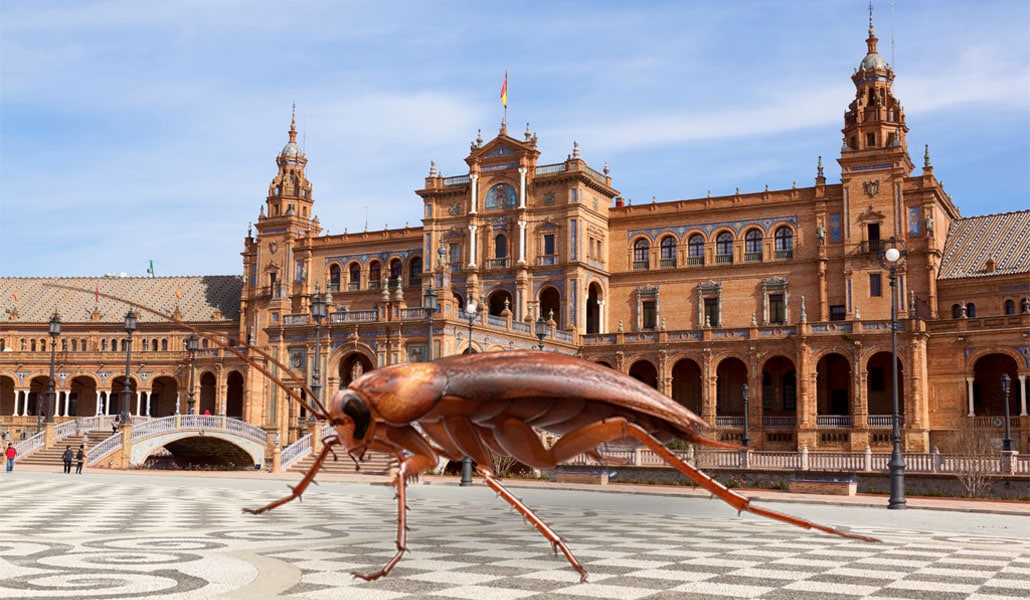 10 Situaciones que has vivido con las cucarachas en Sevilla