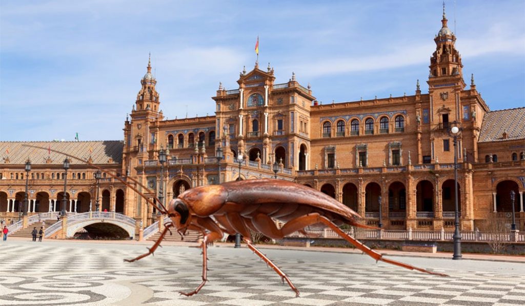Las cucarachas pasan sus vacaciones de verano en Sevilla