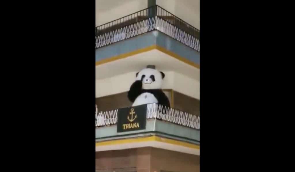 Cuarentena en Sevilla: el oso panda de la Feria aparece bailando en un balcón