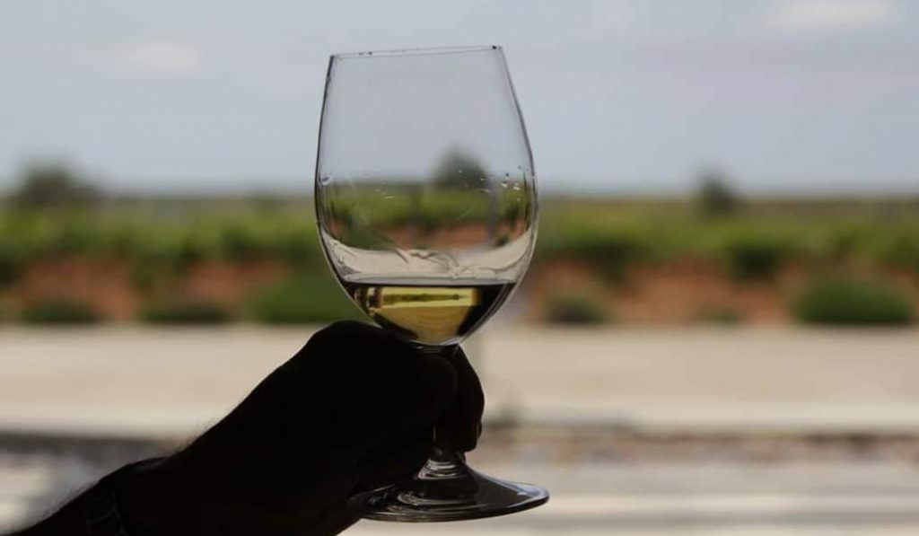 Bodegas Naranjo: cata 3 de sus mejores vinos desde casa con Winers