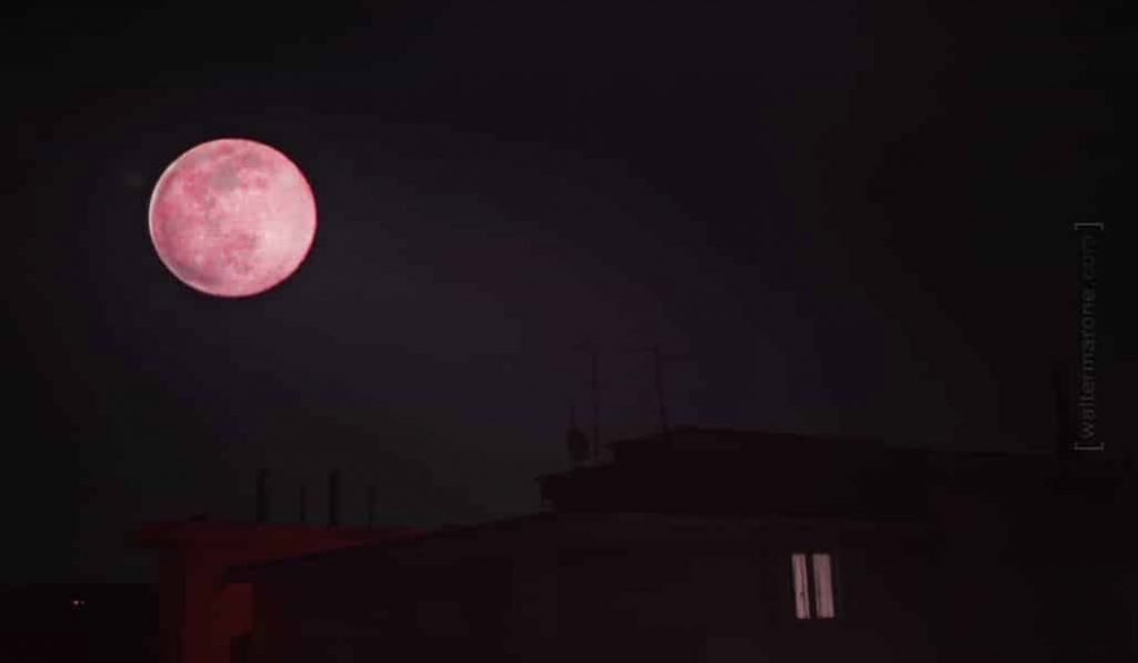 14 fotos del mundo que enseñan la super luna llena rosa