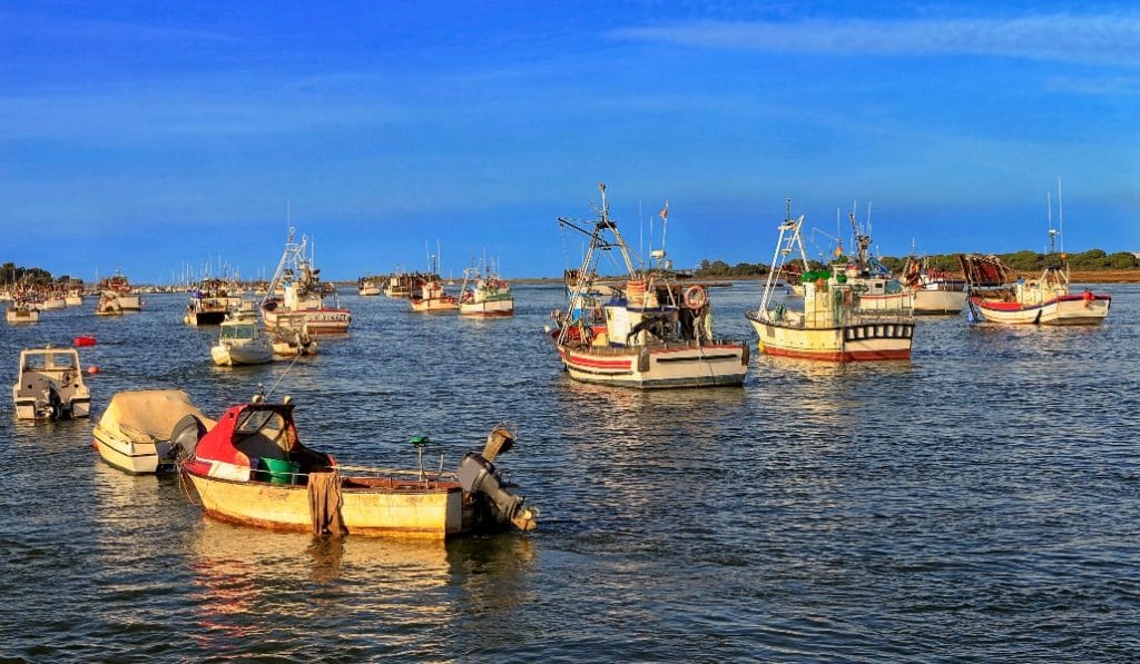 Pescadores de Punta Umbría donan más de 1200 kilos de pescado