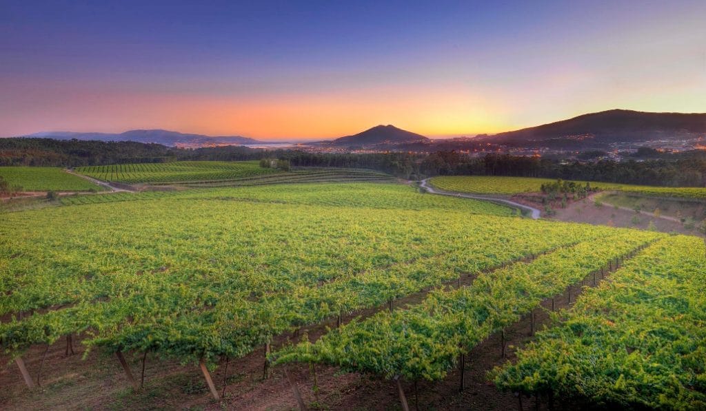 El mejor vino de La Rioja Alta llega a tu casa con esta cata personalizada
