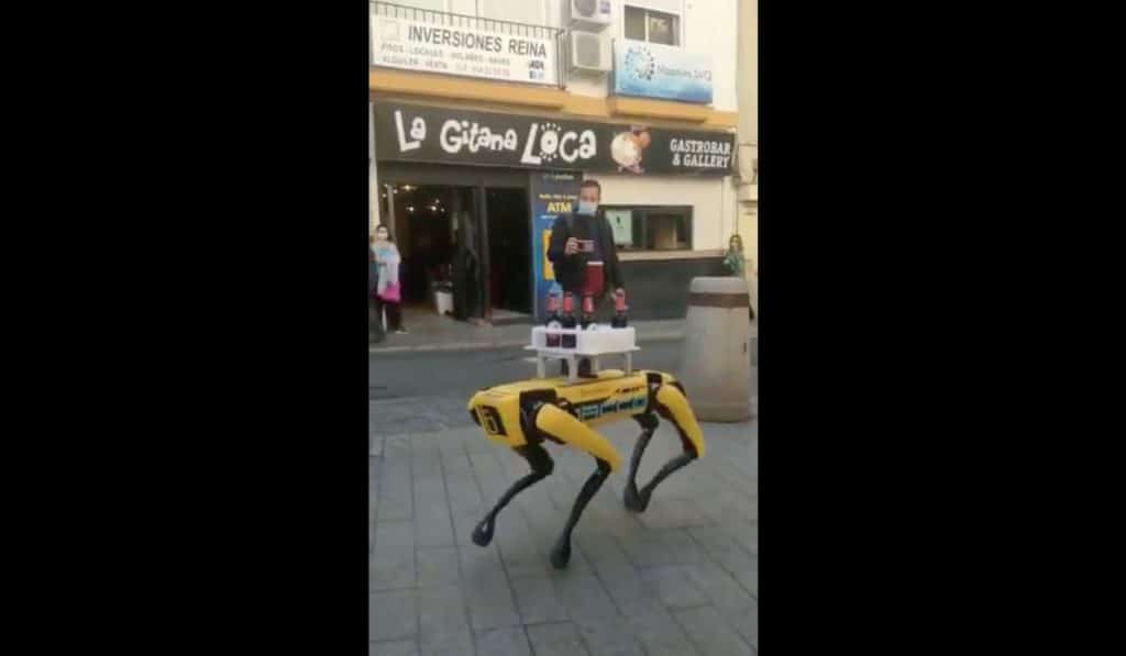 Un robot canino sorprende sirviendo cervezas en un bar de la Cuesta del Rosario de Sevilla
