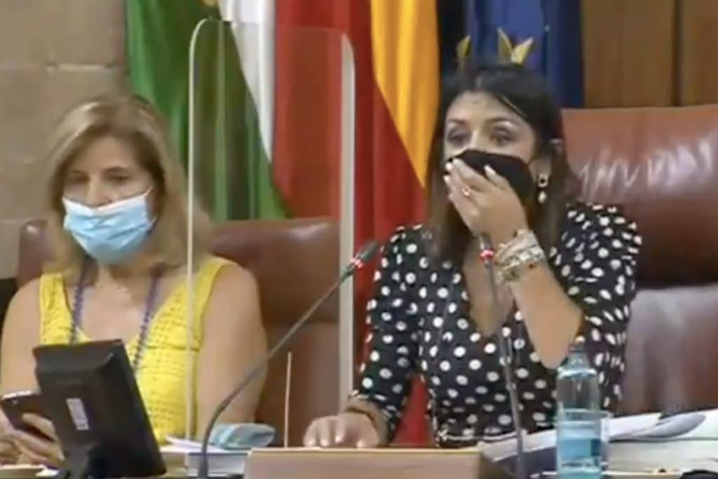 [Vídeo] Una rata interrumpe la sesión del Parlamento andaluz