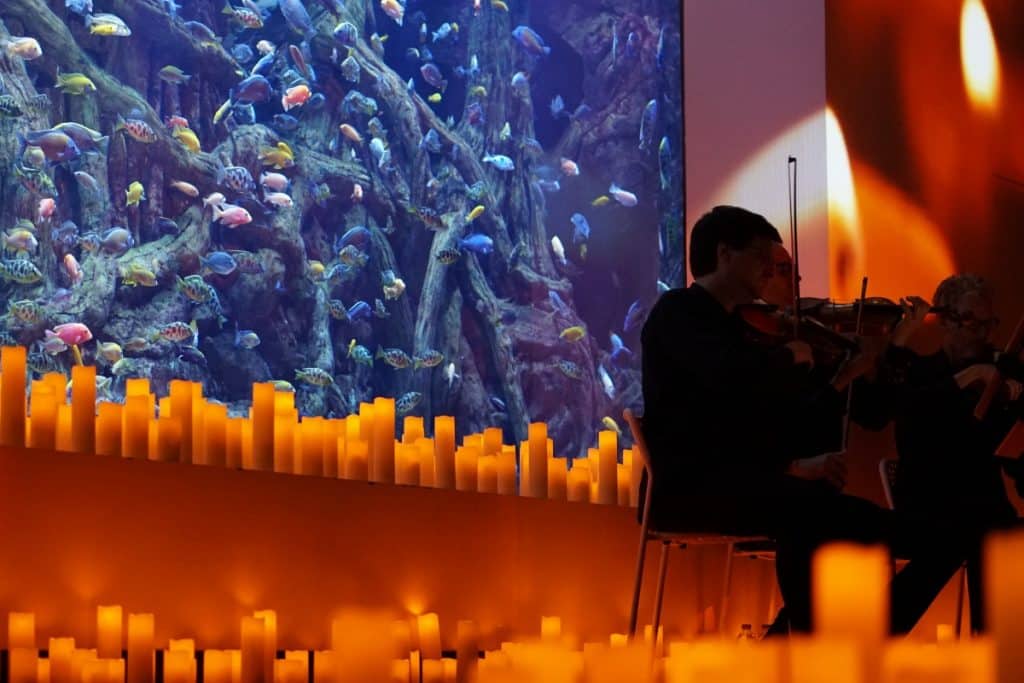 Candlelight Sevilla Aquarium