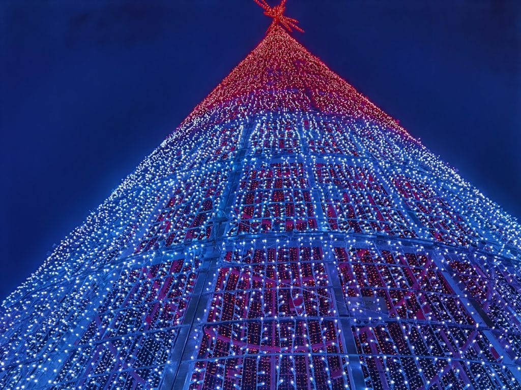 El árbol de Navidad más grande de Europa presidirá la plaza de San Francisco