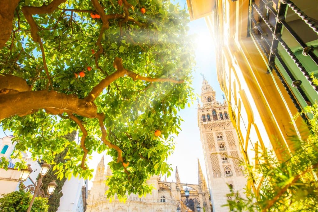 Sevilla ciudad más luz