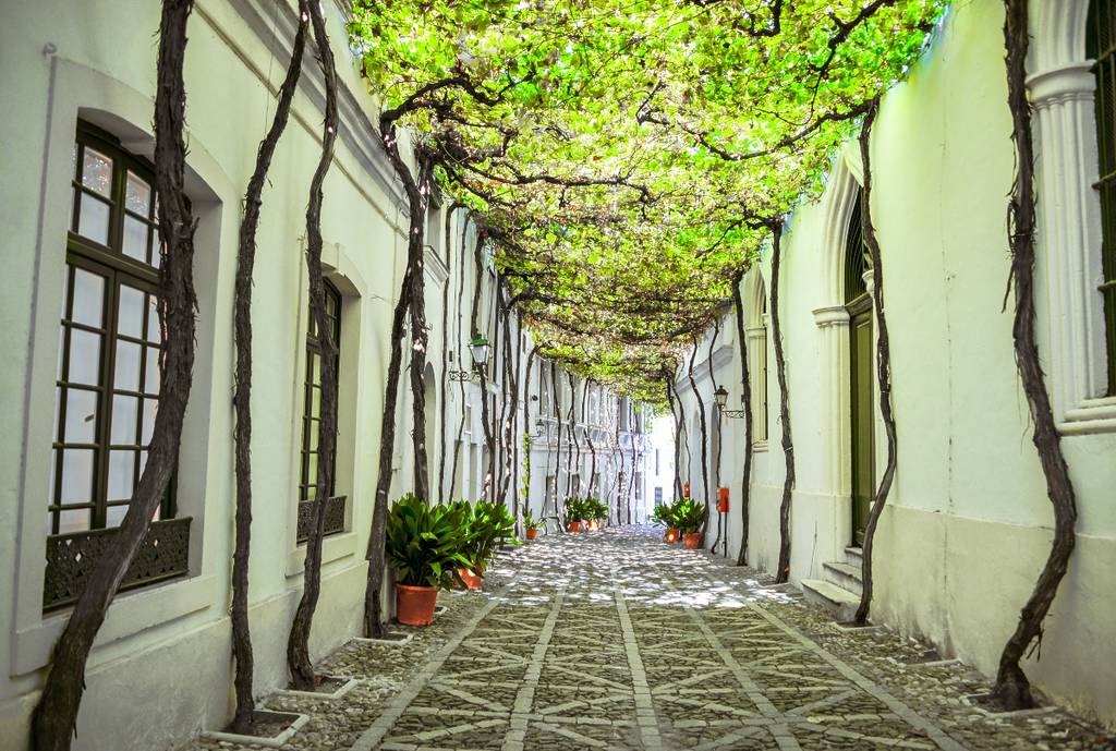Most beautiful streets in the world Andalucía Jerez