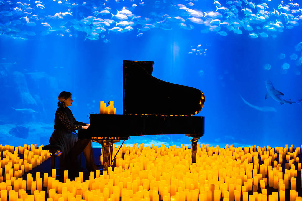 Un océano de velas y peces baña la oferta de eventos del Global Omnium Auditorio