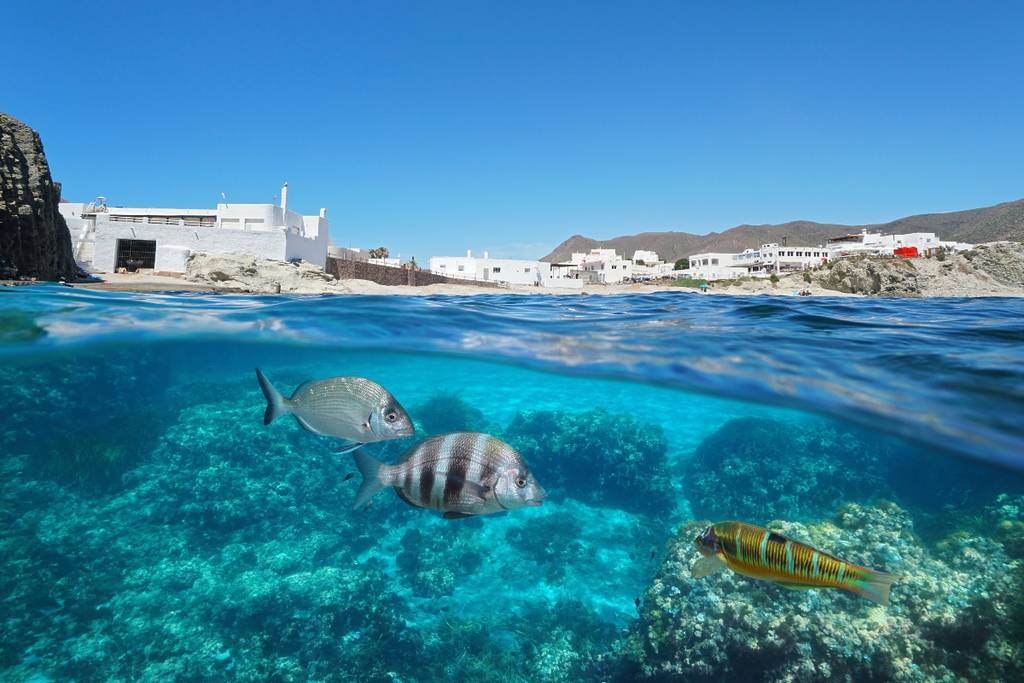 Fondo marino Isleta del moro